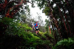 BIB: 
                            <button type="button" onclick="openModal(26201097)" class="btn btn-primary btn-sm float-right btn-popup" data-toggle="modal" data-target=".modal-high-quality">
                        <i class="fas fa-shopping-cart"></i> Add to Cart
                    </button>
                                            <button type="button" onclick="isThisMe(26201097, true)" class="btn btn-success btn-sm float-right btn-popup btn-isme hidden" data-toggle="tooltip" data-placement="bottom" title="นี่คือรูปของคุณใช่ไหม คลิกที่นี่เพื่อเอาเข้าอัลบั้ม">
                        <i class="fas fa-plus"></i> Add to album
                    </button>
                    <button type="button" onclick="isThisMe(26201097, false)" class="btn btn-warning btn-sm float-right btn-popup btn-isnotme hidden">
                        <i class="fas fa-ban"></i> Remove from album
                    </button>